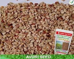 Indigofera Tinctoria Seeds